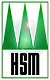 HSM Logo